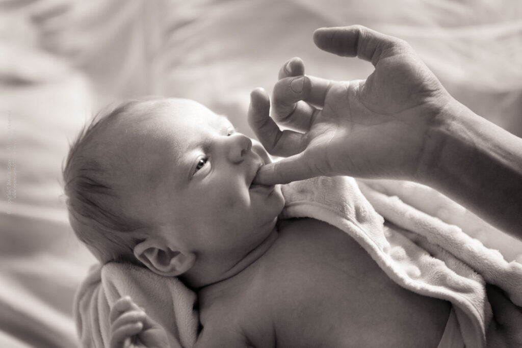 Baby Ruby Baby Ruby (black & white) / © Copyright 2011 Barrie Spence. All rights reserved.