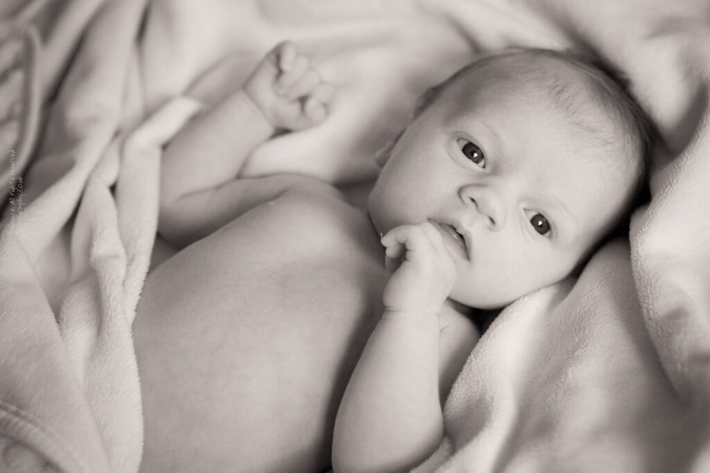 Baby Ruby Baby Ruby (black & white) / © Copyright 2011 Barrie Spence. All rights reserved.