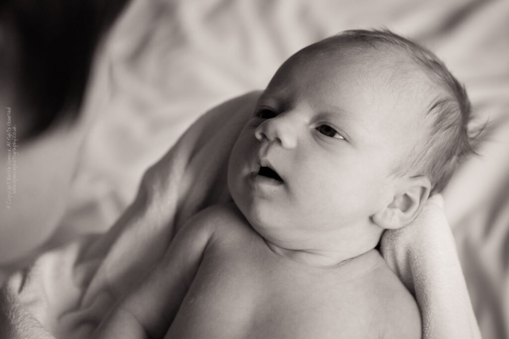 Baby Ruby Baby Ruby (black & white) / © Copyright 2011 Barrie Spence. All rights reserved.