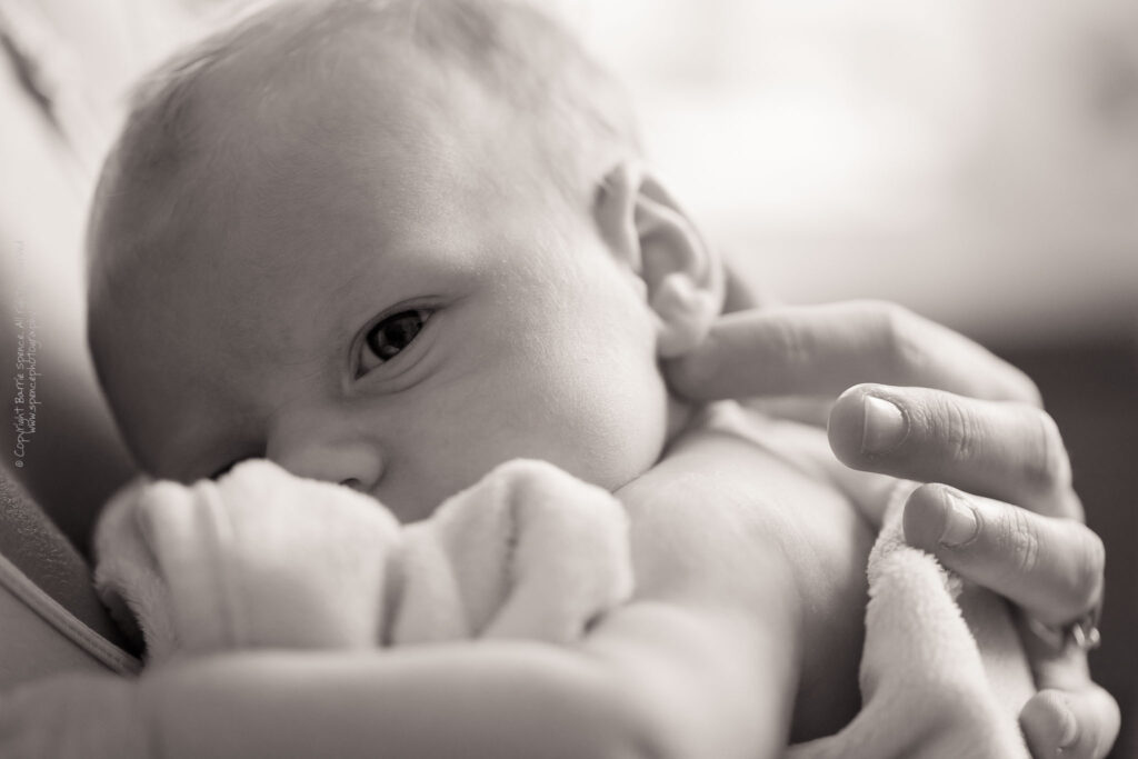 Baby Ruby Baby Ruby (black & white) / © Copyright 2011 Barrie Spence. All rights reserved.