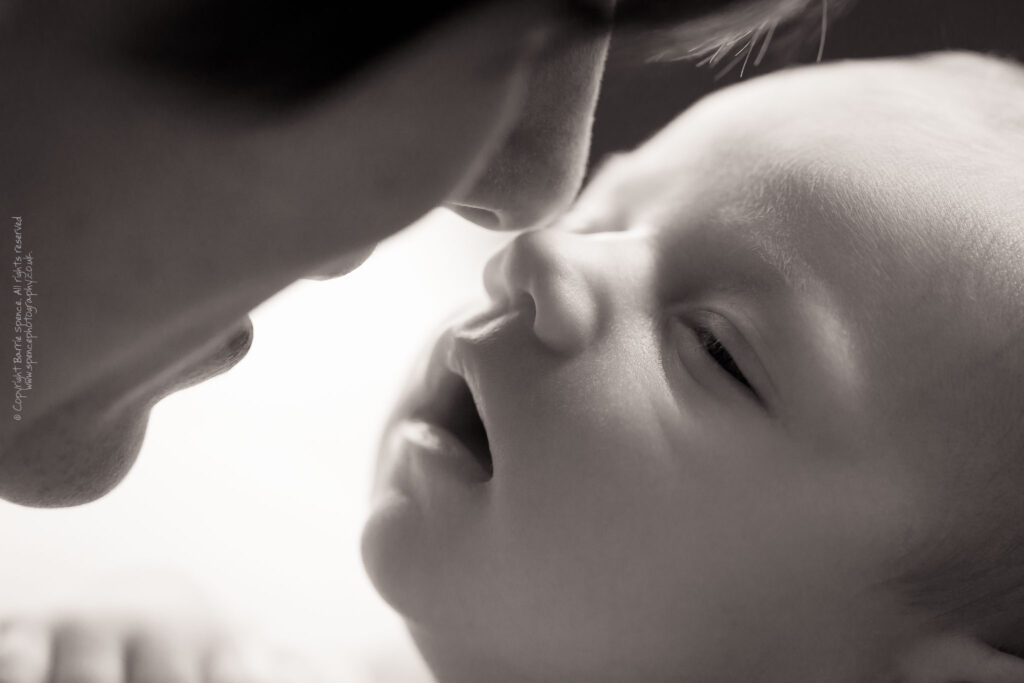 Baby Ruby Leona nose-to-nose with baby Ruby (black & white) / © Copyright 2011 Barrie Spence. All rights reserved.