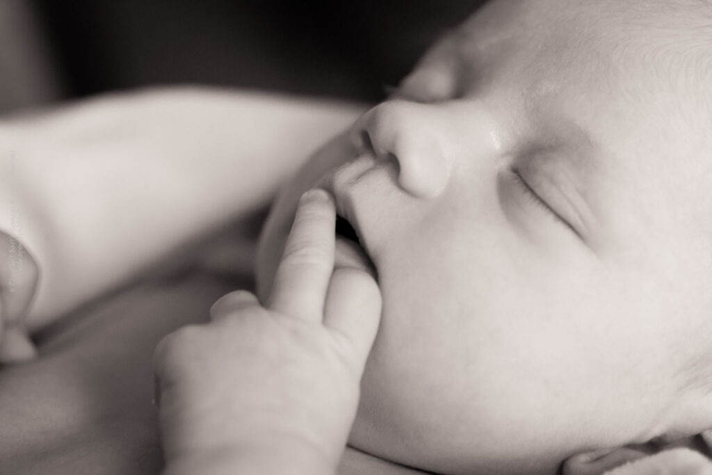Baby Ruby Baby Ruby (black & white) / © Copyright 2011 Barrie Spence. All rights reserved.