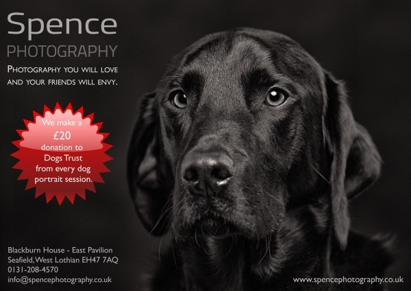 DogsTrust donation poster - Tye DogsTrust donation poster - Tye / © Copyright 2012 Barrie Spence. All rights reserved.